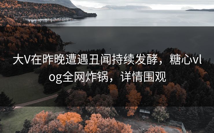 大V在昨晚遭遇丑闻持续发酵，糖心vlog全网炸锅，详情围观