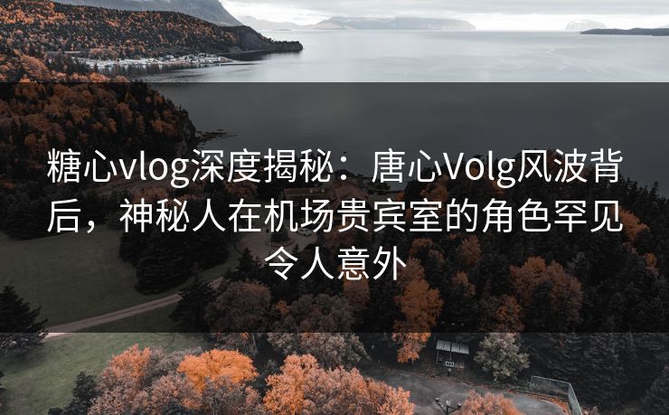 糖心vlog深度揭秘：唐心Volg风波背后，神秘人在机场贵宾室的角色罕见令人意外