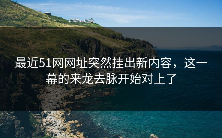 最近51网网址突然挂出新内容，这一幕的来龙去脉开始对上了  第1张